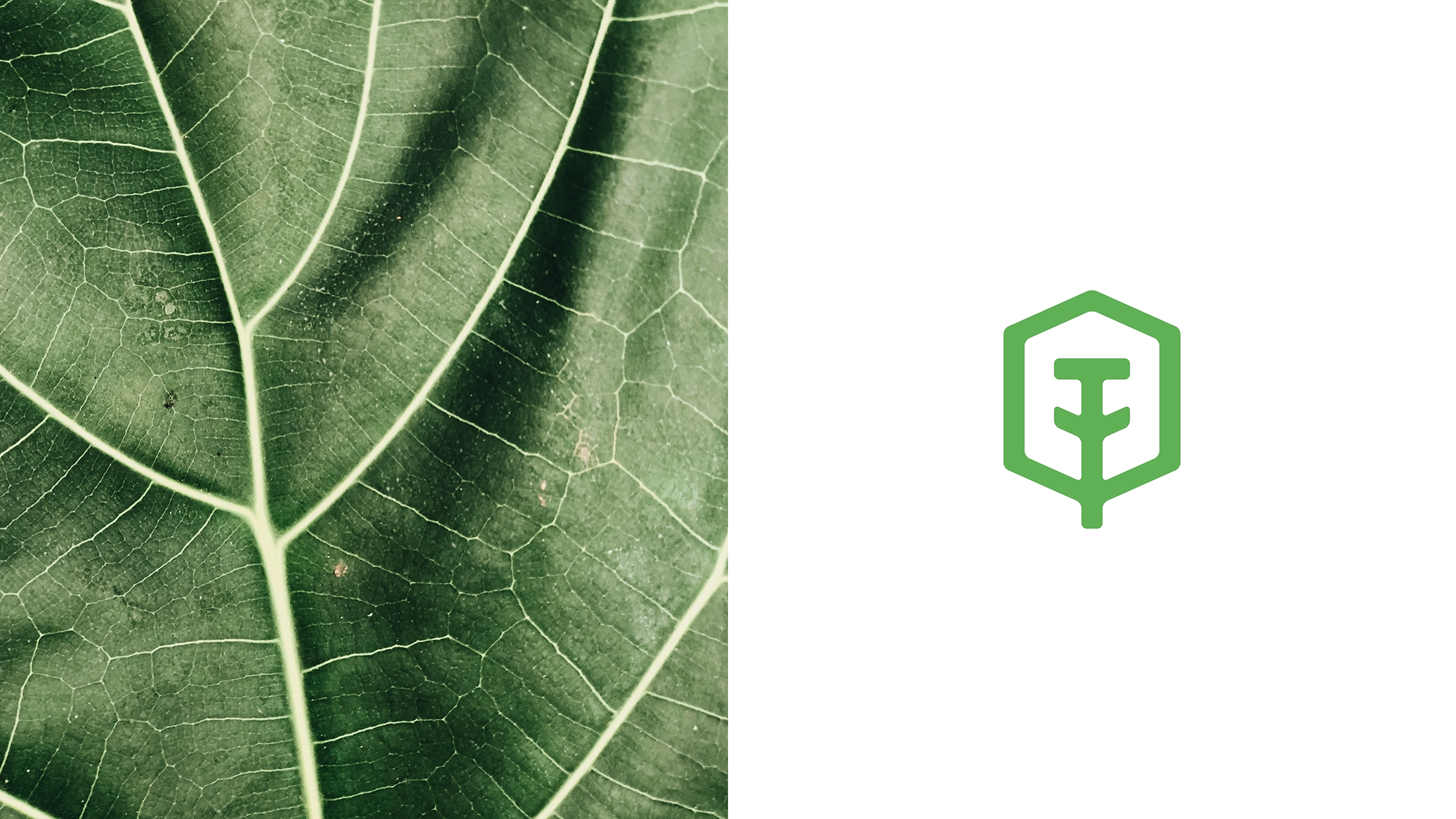 Total Yard's symbol next to a leaf picture